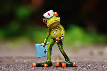 grenouille medecin grenouille medecin