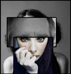 identité identité