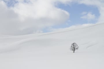 neige neige
