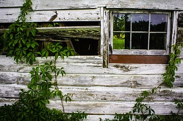 MATERIAUX BIOSOURCES