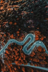 route