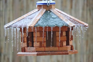 MAISON FROID