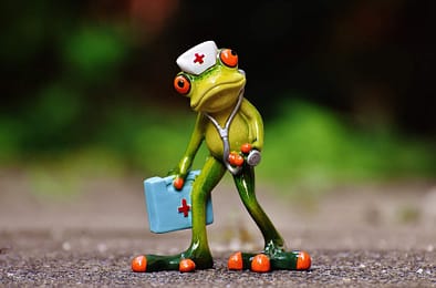 grenouille medecin grenouille medecin