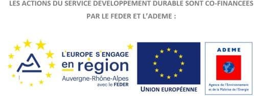 logo-region-service-pemm