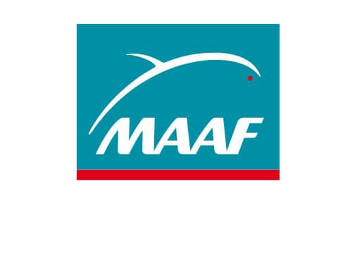 logo maaf 1